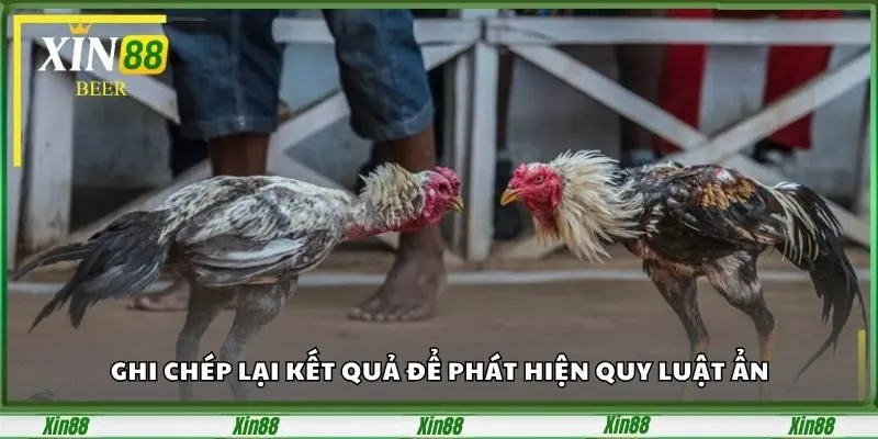 Đá Gà Cựa Dao Tại Xin88 – Đấu Trường Chọi Gà Kịch Tính 4 Ghi chép lại kết quả để phát hiện quy luật ẩn