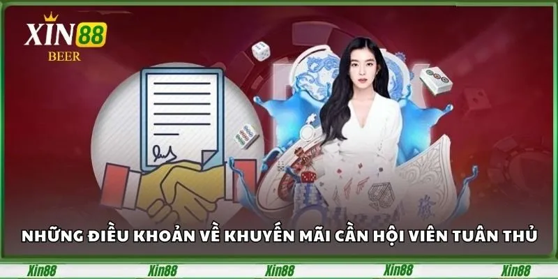 Điều Khoản Điều Kiện Xin88 - Cập Nhật Quy Định Mới Nhất 2025 3 Những điều khoản về khuyến mãi cần hội viên tuân thủ