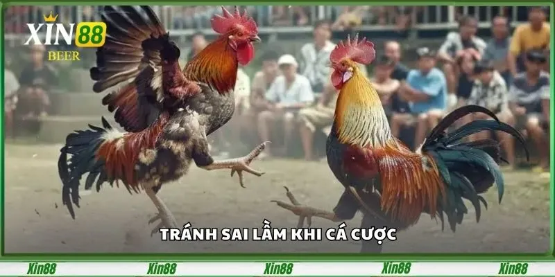 Đá Gà Cựa Dao Tại Xin88 – Đấu Trường Chọi Gà Kịch Tính 5 Tránh sai lầm khi cá cược